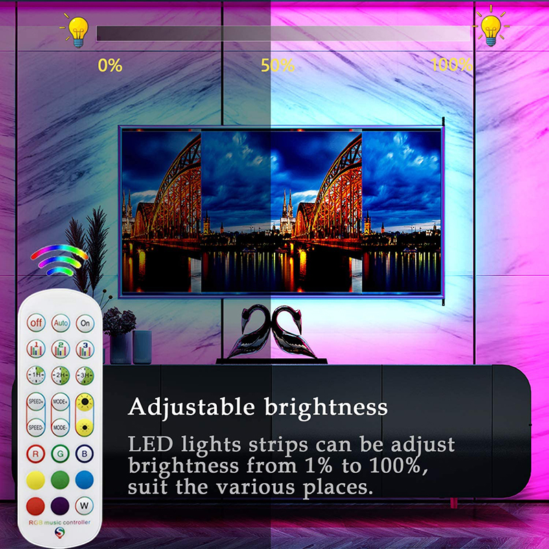 DC524V Bluetooth SPI Dream Color Dual Channel RF Remote RGB LED